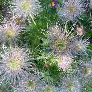 Meet your Posher, Sarina